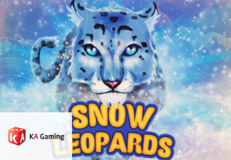 Snow Leopards